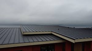 Best Roofing for New Construction  in Pahoa, HI